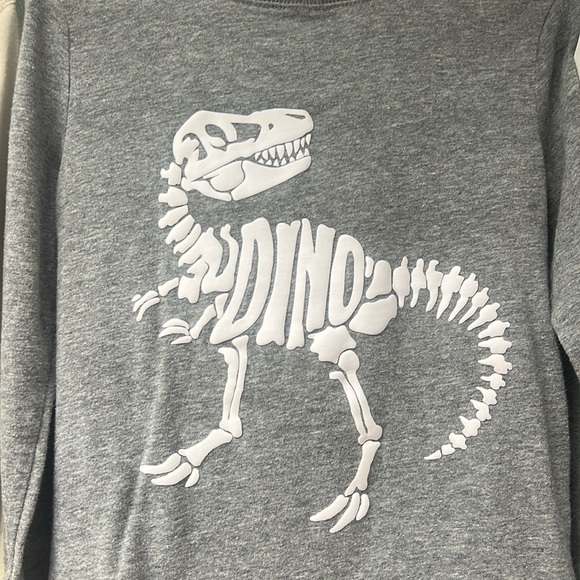 The Children’s Place toddler Boy Dinosaur graphic tee with hood bundle, size 4T - Picture 3 of 6